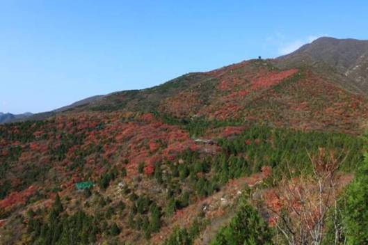 //itcs.pgdianziyouxi.com/news/2009/2009057/image001.jpg